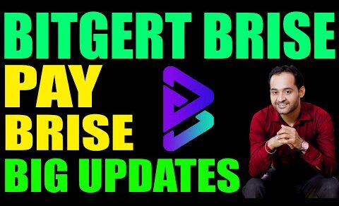 Bitgert Paybrise will be Game changer | Crypto Marg | Rajeev Anand | Crypto News | Brise Token News