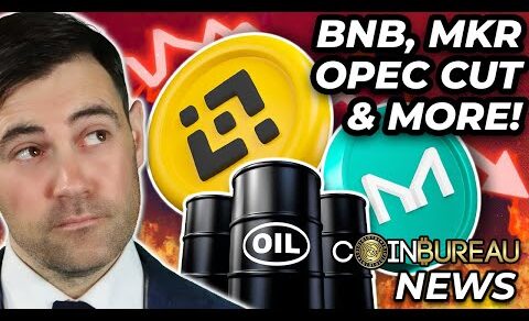 Crypto News: BNB, MakerDAO, OPEC Oil Cut, Stablecoins & MORE!