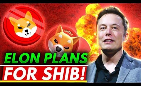 Shiba inu coin 📣Big Update 🚀Crypto News Today ☑️Shiba inu coin prediction 2022🤑 #Shiba