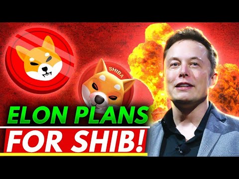 Shiba inu coin 📣Big Update 🚀Crypto News Today ☑️Shiba inu coin prediction 2022🤑 #Shiba