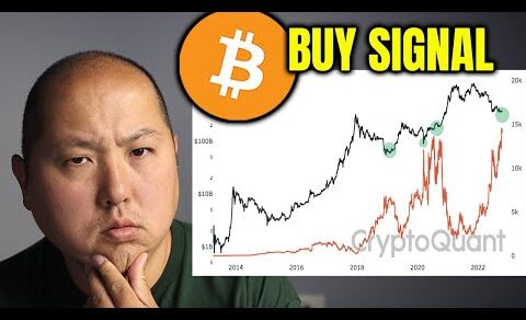 When To Buy Bitcoin? (Hint: This Signal Shows)