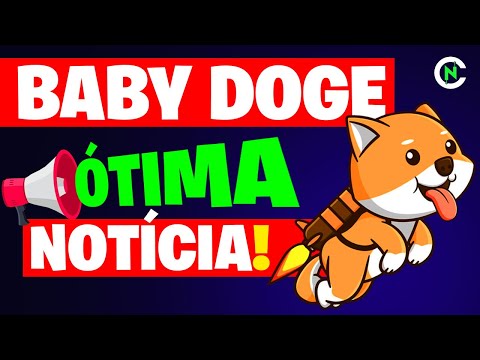 🚨 SEXTA FEIRA QUENTE NA BABY DOGE COIN! Crypto News