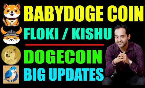 Baby Dogecoin | Twitter Blue | Floki inu | Kishu Inu coin | Crypto News Today | Crypto Marg | Shib