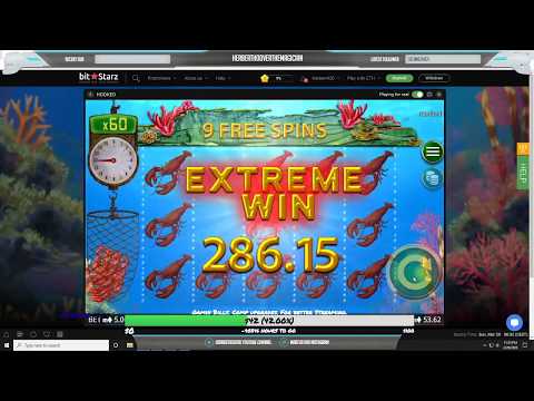 nice bitstarz win on the game – hooked