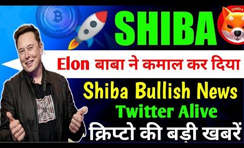 Elon बाबा कमाल कर दिया🚀🥳 shiba inu coin🥰 crypto news today | cryptocurrency