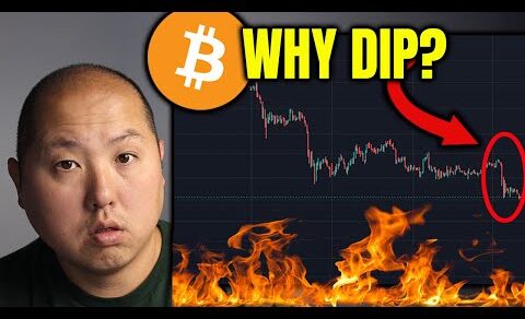 WHY Bitcoin Dipped Below $16000 Today…