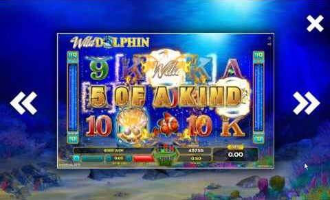 Wild Dolphin Slot @ GameArt & BitStarz