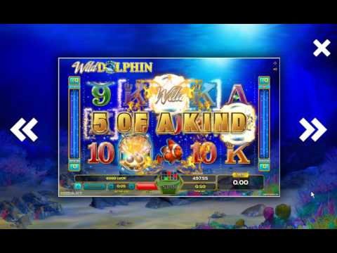 Wild Dolphin Slot @ GameArt & BitStarz