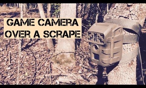 Game camera over a scrape. Moultrie Game Camera BC-300i review