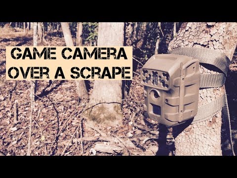 Game camera over a scrape. Moultrie Game Camera BC-300i review