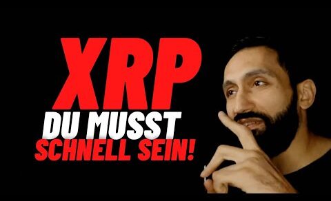 XRP wird einen RUN hinlegen, aber…