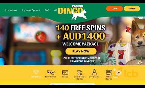 Casino Dingo Video Review