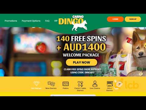 Casino Dingo Video Review