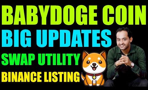 Is Baby Doge Swap Options changes the Baby Dogecoin worth | Crypto News | Rajeev Anand | Crypto Marg