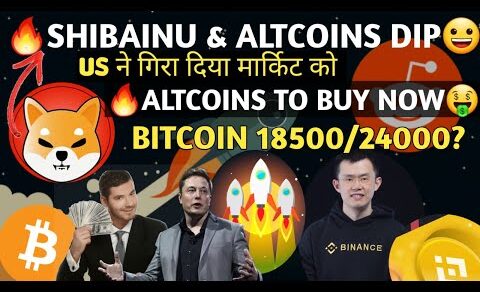 🔥portfolio गिरा पर ये मौका है खरीदने का 🚀| altcoins to buy now? Dip buying | crypto | shibainu