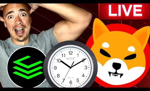 SHIBA INU LIVE, CRYPTO NEWS, MASSIVE CLEARCRYPTOS PARTNERSHIP!