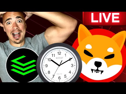 SHIBA INU LIVE, CRYPTO NEWS, MASSIVE CLEARCRYPTOS PARTNERSHIP!