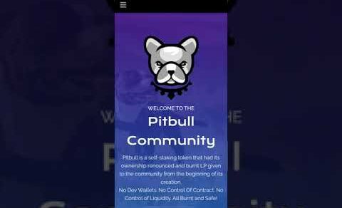 PITBULL Token simple Review BEP20 Almost 300k Holders 9 zero Price 2% Reflections NFTS SWAP + More!