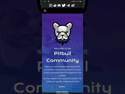 PITBULL Token simple Review BEP20 Almost 300k Holders 9 zero Price 2% Reflections NFTS SWAP + More!