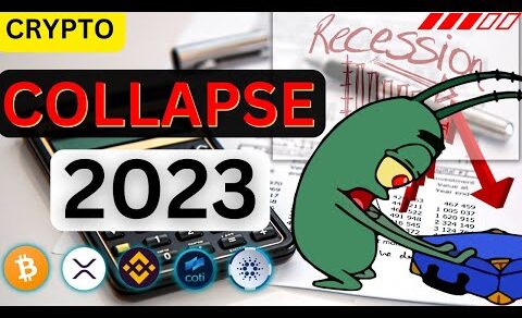 Warning! RESESI 2023. Sebagai Plankton Crypto saya pilih Ripple XRP, ADA, BNB