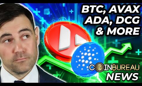 Crypto News: Bitcoin Rally, ADA, AVAX, DCG, Gemini & MORE!