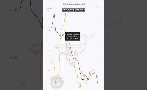 ⚠ WARNING ⚠ You MUST know this before BUYING! Bitcoin analysis – Crypto News Today