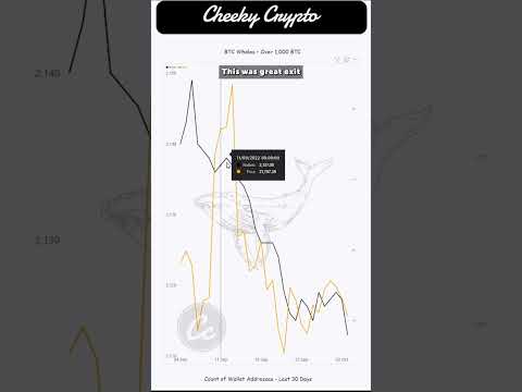 ⚠ WARNING ⚠ You MUST know this before BUYING! Bitcoin analysis – Crypto News Today