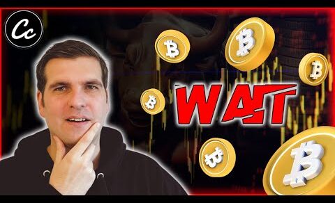 WAIT… Bitcoin WHALES continue to de-risk! BTC PRICE ANALYSIS – CRYPTO NEWS TODAY