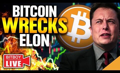 Bitcoin WRECKS Elon (Crypto Bull Trap WARNING!)