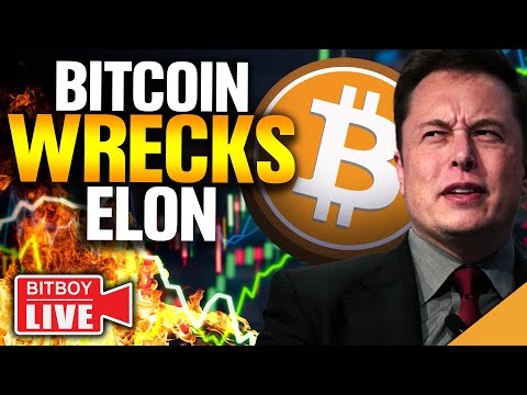 Bitcoin WRECKS Elon (Crypto Bull Trap WARNING!)