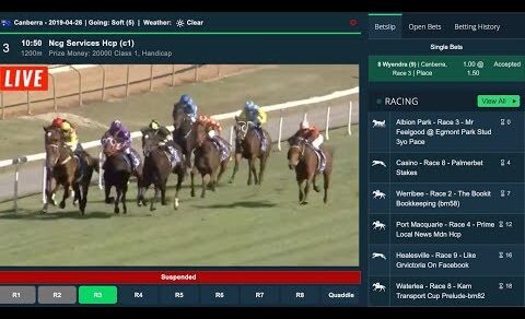 Crypto Horse Racing Betting Guide