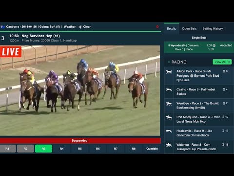 Crypto Horse Racing Betting Guide