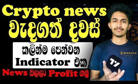 Crypto News | CPI PPI Data | Federal Meetings තියන දවස් කලින්ම පෙන්වන indicator එක | Fundamental