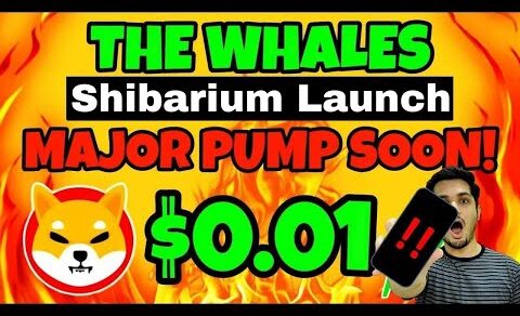 Shiba Inu $0.1 Shibarium Launch Final Date 🔥 Shiba Big Pump 💯 Crypto News Today India