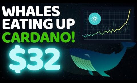 WHALES ARE ACCUMULATING CARDANO LIKE NEVER BEFORE !! | CARDANO PRICE PREDICTION | CRYPTO NEWS