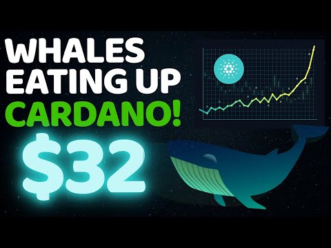 WHALES ARE ACCUMULATING CARDANO LIKE NEVER BEFORE !! | CARDANO PRICE PREDICTION | CRYPTO NEWS