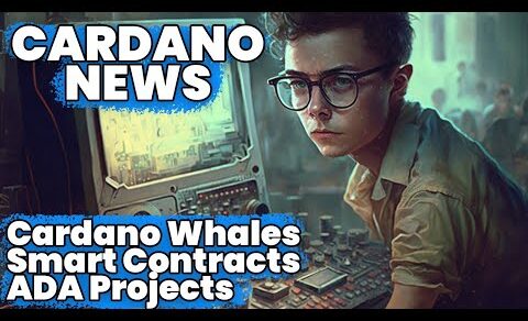 Cardano News and My Thoughts On Crypto