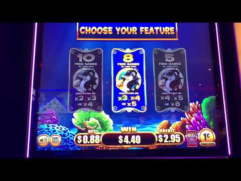 Big Wins on “WHALES OF CASH” BONUS BONUS BONUS! LIVE CASINO PHILADELPHIA #slots #casino #winner 💵🎰