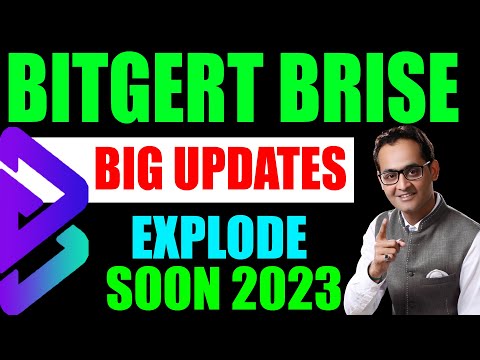 Bitgert Brise Buyback and Burn Latest Updates 2023 | Crypto News Today | Crypto Marg | Rajeev Anand