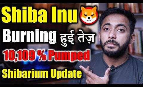 Shiba inu Burning हुई तेज😍 | shiba inu coin news today | Crypto News | Crypto market Update | Latest