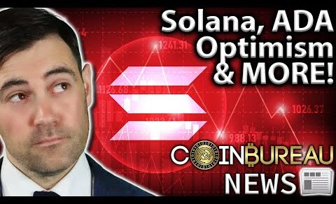 Crypto News: Solana Outage, ADA Rally, SHIB, Optimism & MORE!!