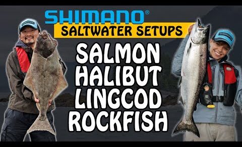 SHIMANO Rods and Reels for BC Saltwater Fishing | Fishing with Rod