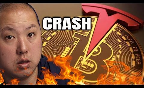 Tesla CRASHED After Earnings…Bitcoin Pulled Down