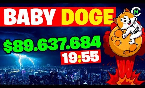 🚨 BABY DOGE COIN $89.637.684 | 19:55 | Crypto News