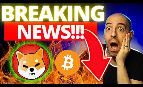 MUST WATCH NEWS! THIS IS THE REASON CRYPTO, AND SHIBA INU FLASHED CRASHED! TIME TO BUY? FAKE NEWS?