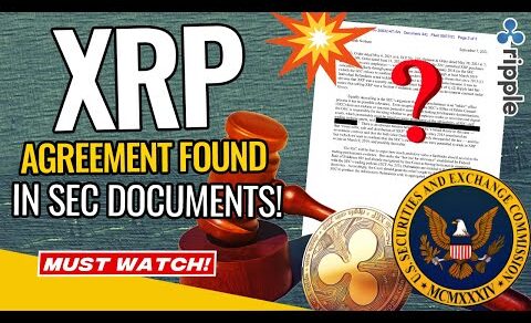 Ripple XRP News – BREAKING! XRP AGREEMENT FOUND IN SEC DOCUMENTS! WARREN DAVIDSON GOES AFTER GARY!