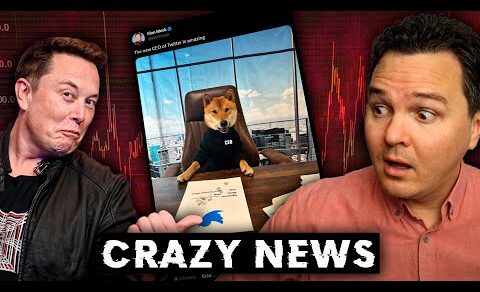 6 HUGE Crypto News Stories Shaking Markets! [Matic, Bitcoin, Dogecoin, NFTs]