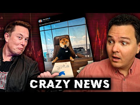 6 HUGE Crypto News Stories Shaking Markets! [Matic, Bitcoin, Dogecoin, NFTs]