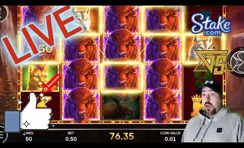 Watch Me Win Some Money!!! Real Slots, Real Money  🔴Stake Online Casino🔴