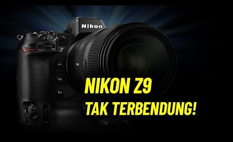 Bahas & Reaksi Nikon Z9 : Mirrorless PRO Terbaik saat ini?